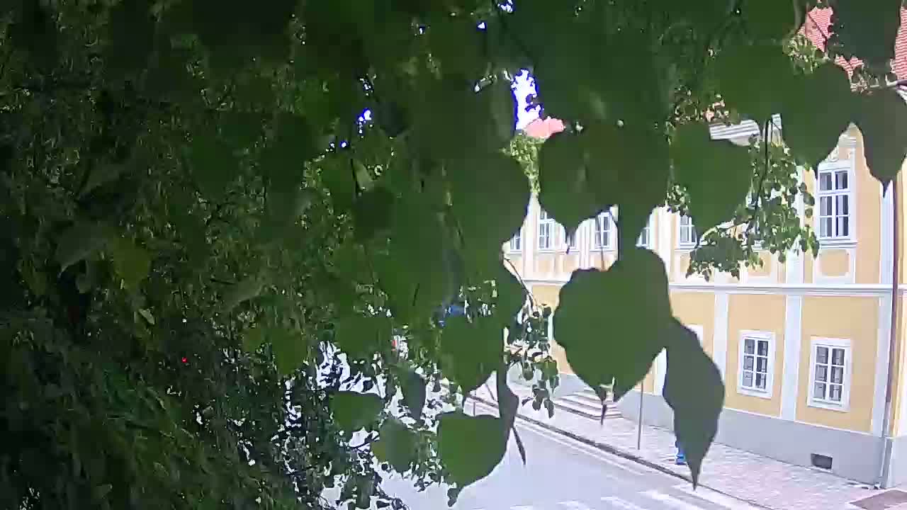 Web kamera uživo Petrinja centralni park – nakon potresa