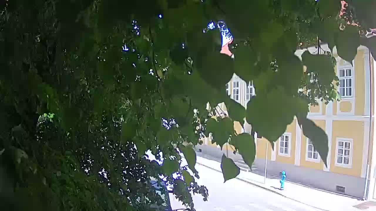 Spletna kamera v živo Petrinja centralni park – po potresu