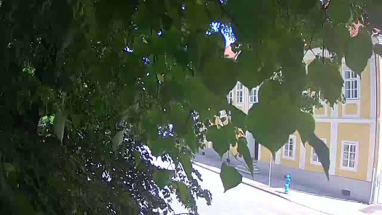 Live webcam parco Petrinja – dopo il terremoto