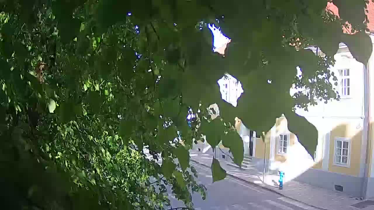 Web kamera uživo Petrinja centralni park – nakon potresa