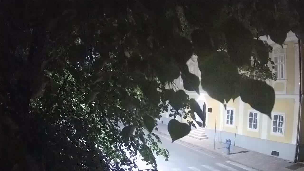 Live webcam Petrinja central park – after the earthquake