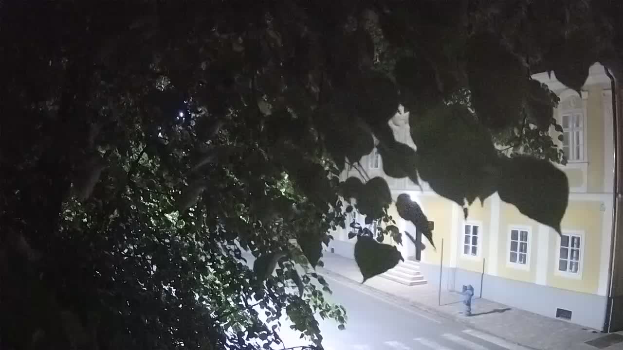 Live webcam parco Petrinja – dopo il terremoto
