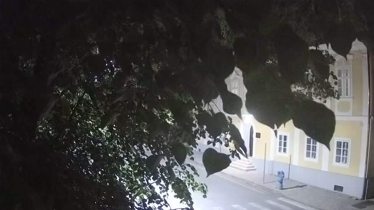 Spletna kamera v živo Petrinja centralni park – po potresu