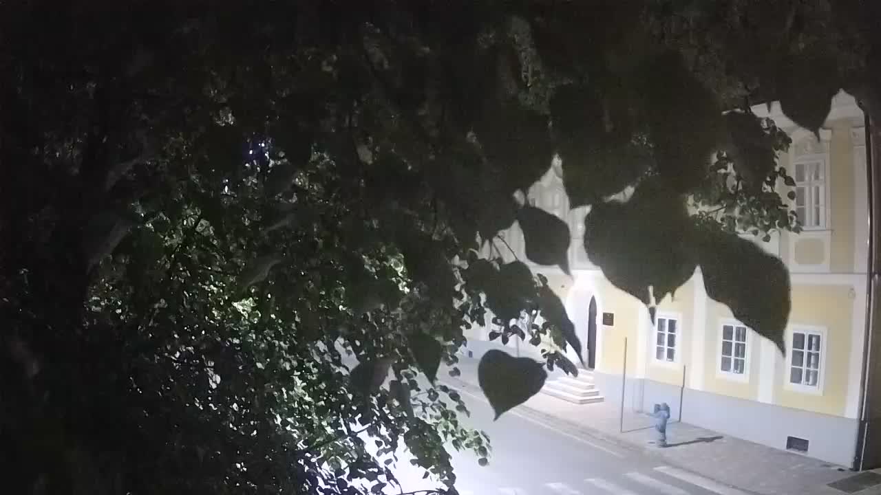 Webcam en direct du parc Petrinja – après le tremblement de terre
