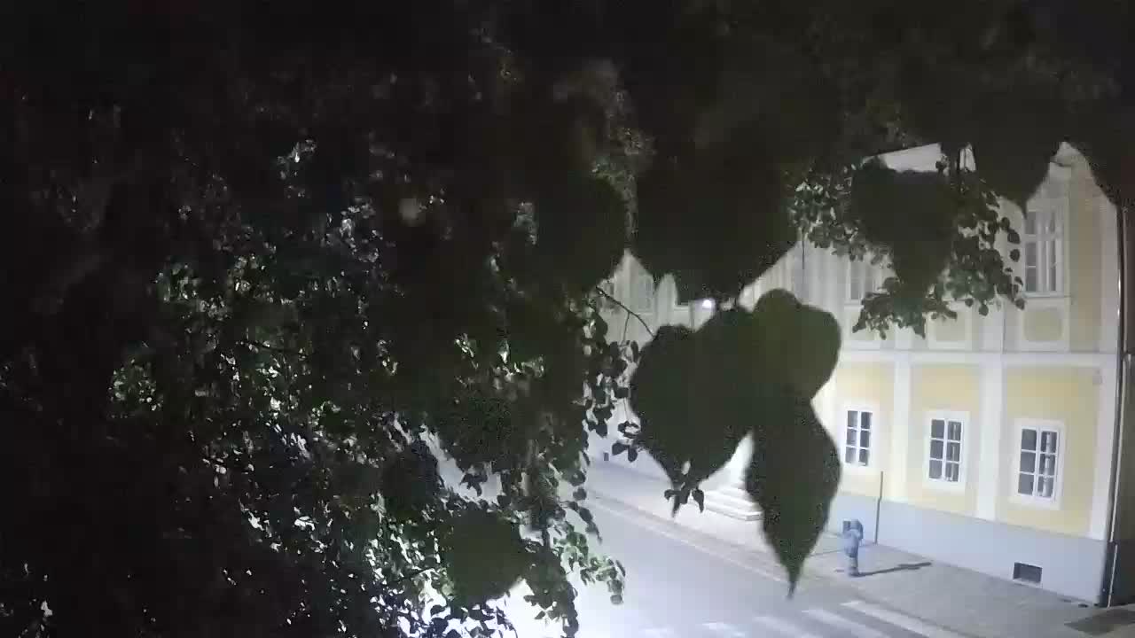 Webcam en direct du parc Petrinja – après le tremblement de terre