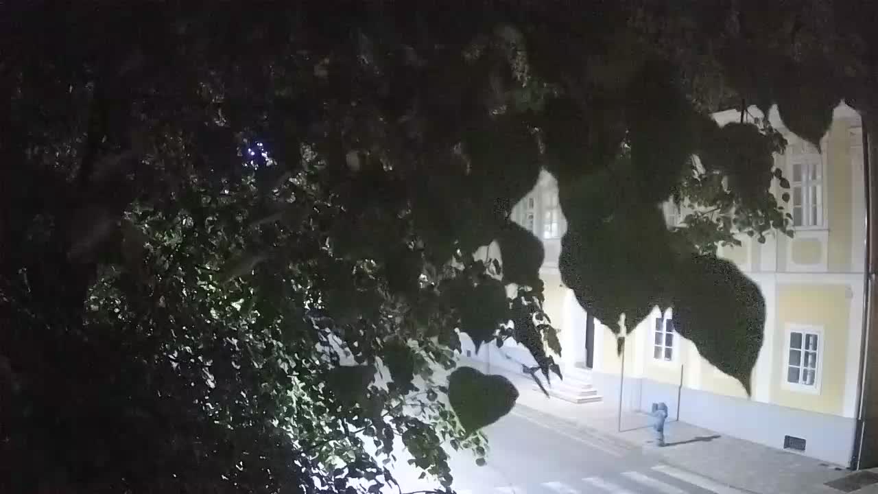 Webcam en direct du parc Petrinja – après le tremblement de terre