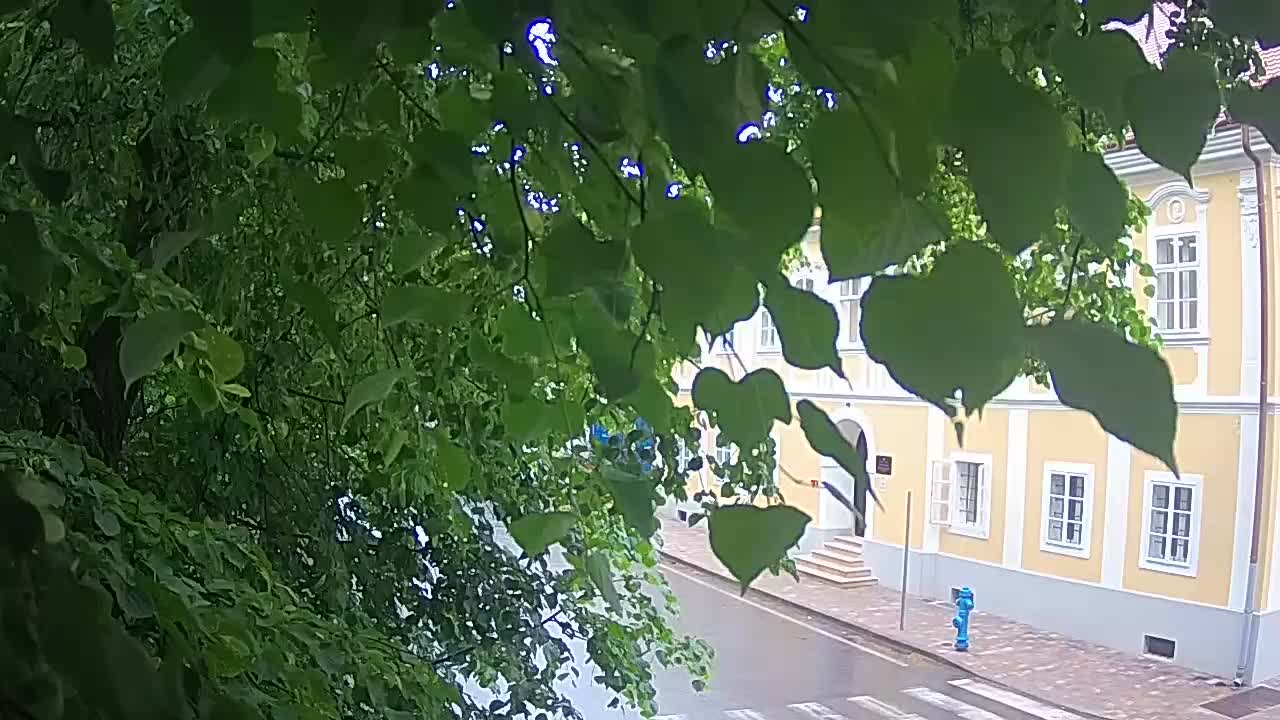 Webcam en direct du parc Petrinja – après le tremblement de terre
