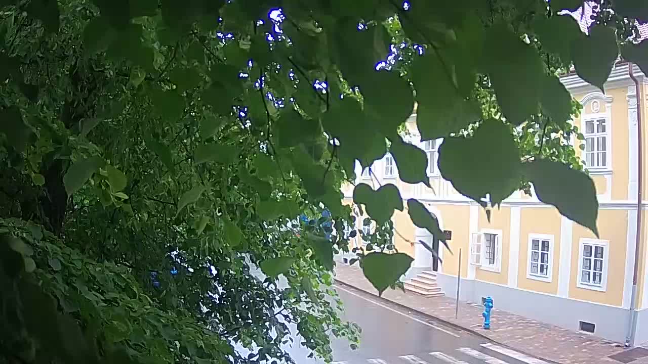 Spletna kamera v živo Petrinja centralni park – po potresu