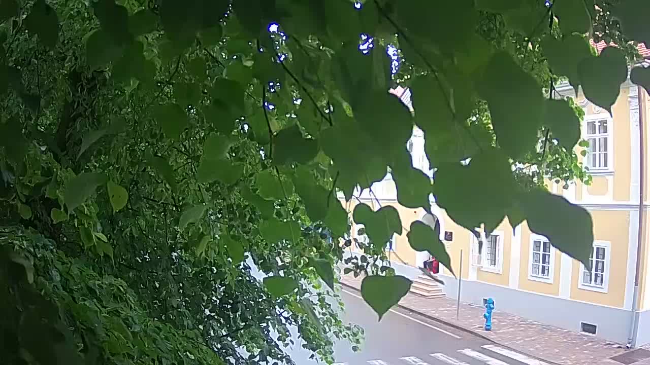 Webcam en direct du parc Petrinja – après le tremblement de terre