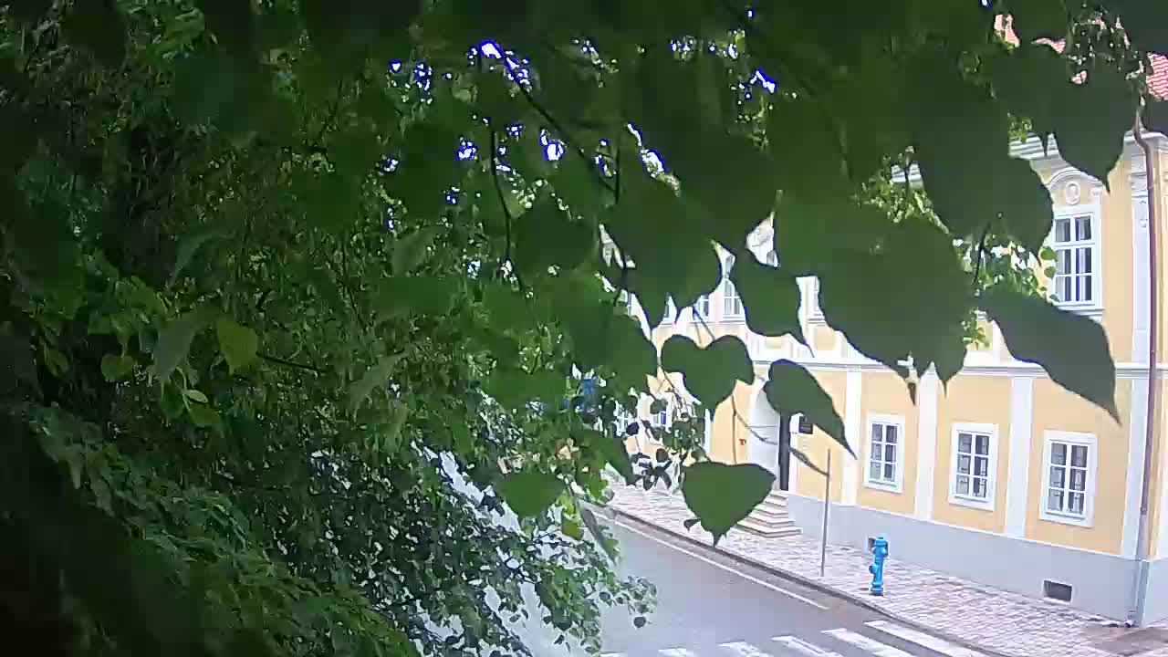 Spletna kamera v živo Petrinja centralni park – po potresu