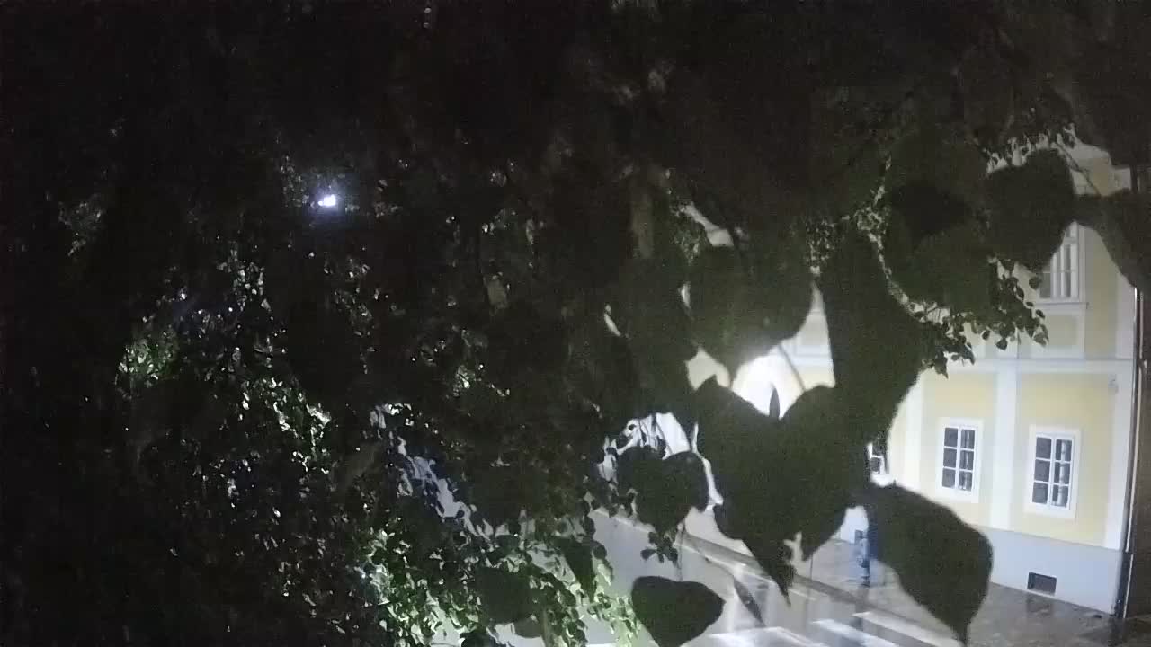 Live webcam parco Petrinja – dopo il terremoto