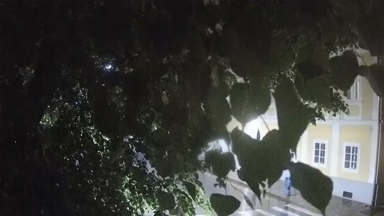 Spletna kamera v živo Petrinja centralni park – po potresu