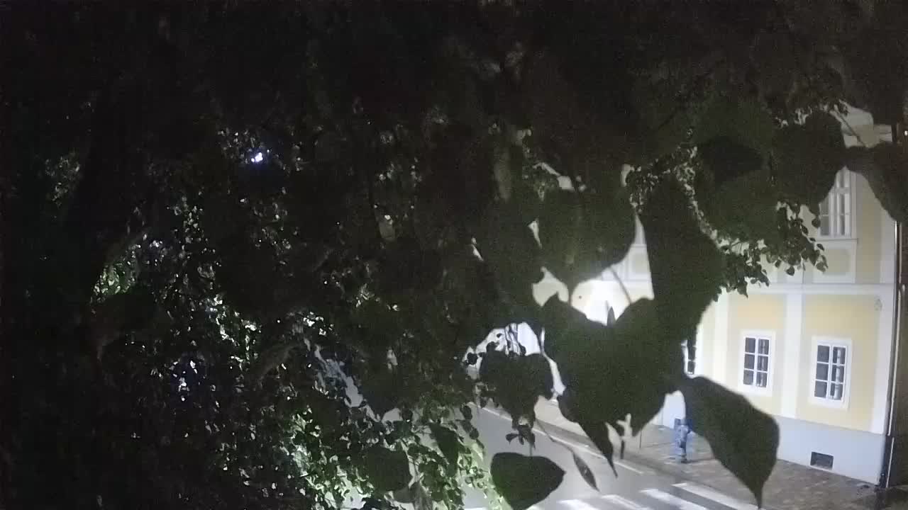 Live webcam parco Petrinja – dopo il terremoto