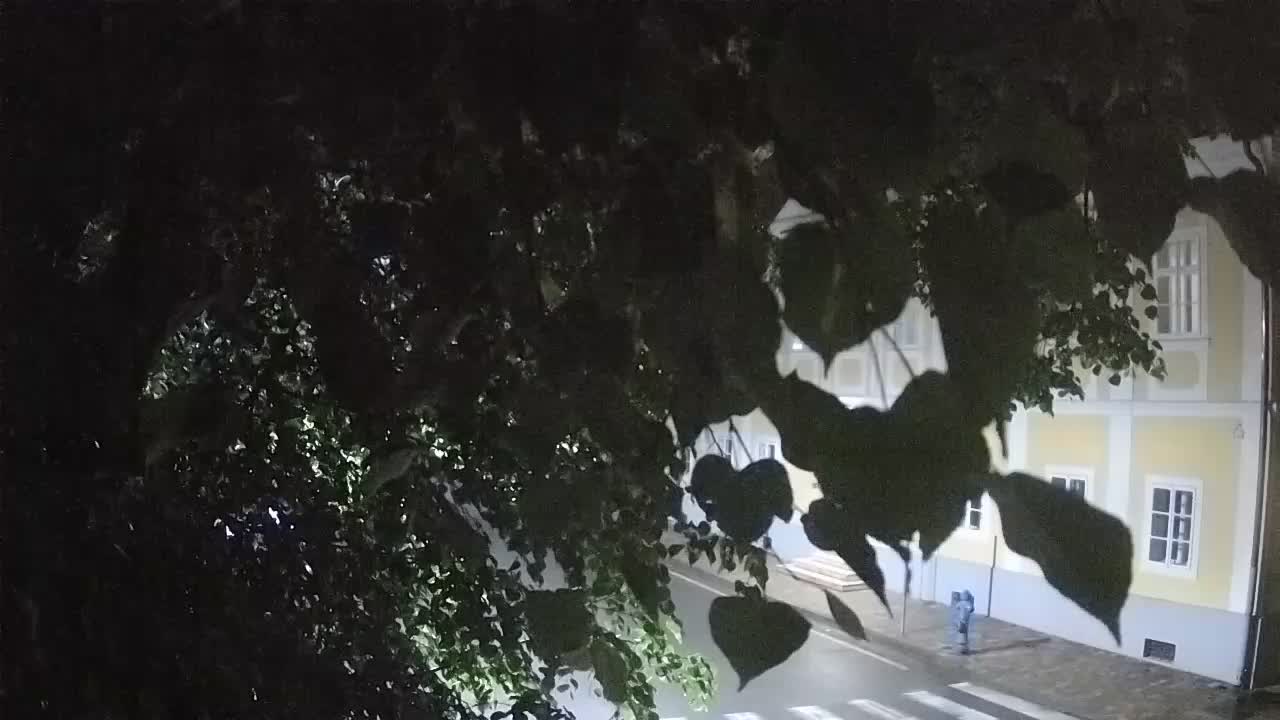 Spletna kamera v živo Petrinja centralni park – po potresu