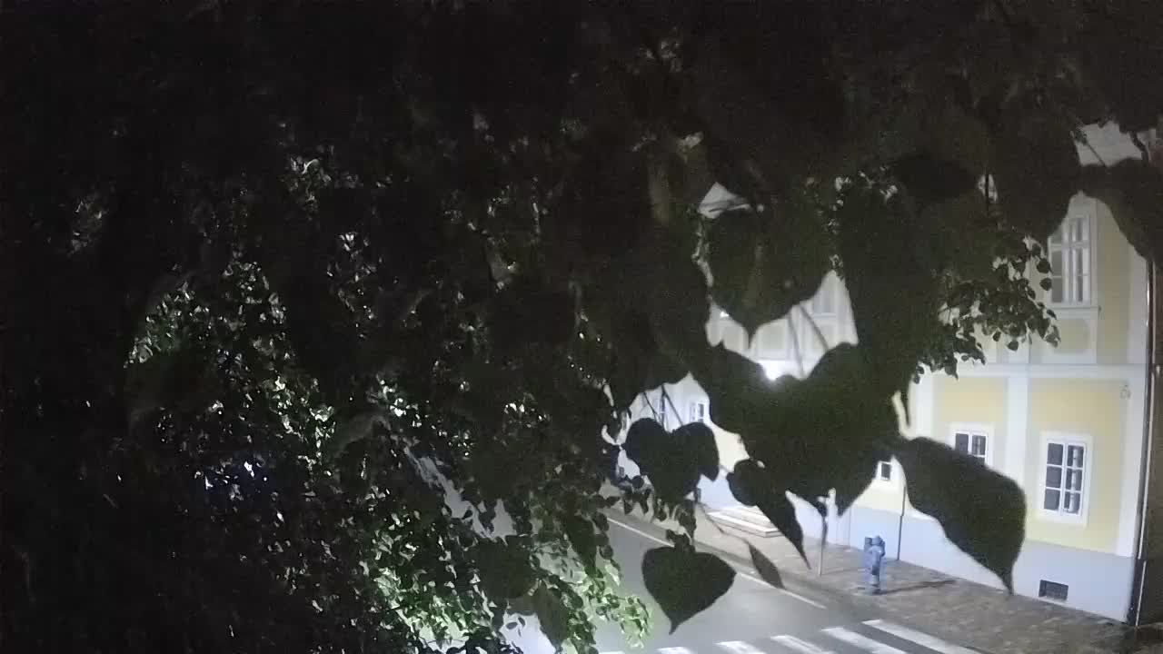 Live webcam parco Petrinja – dopo il terremoto