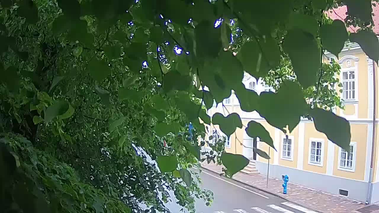 Live webcam parco Petrinja – dopo il terremoto