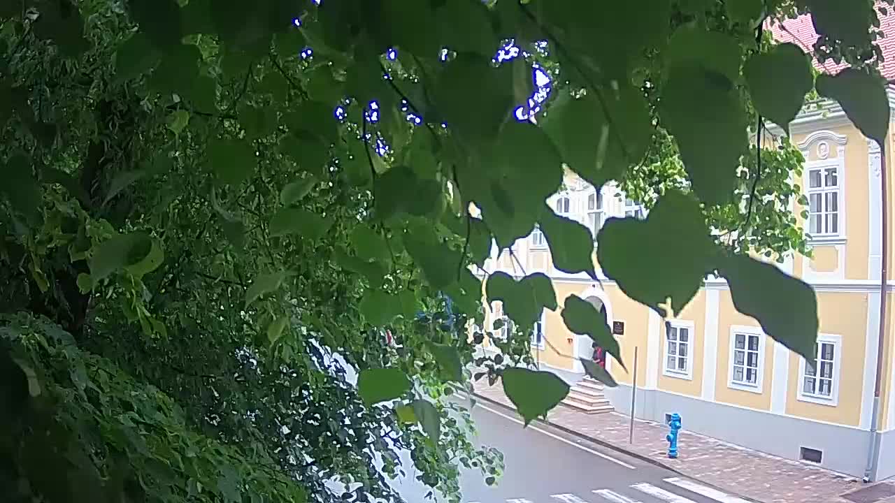 Spletna kamera v živo Petrinja centralni park – po potresu