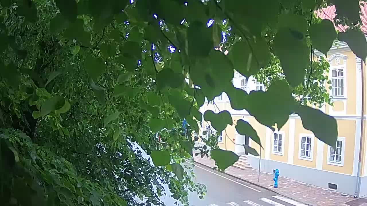 Webcam en direct du parc Petrinja – après le tremblement de terre