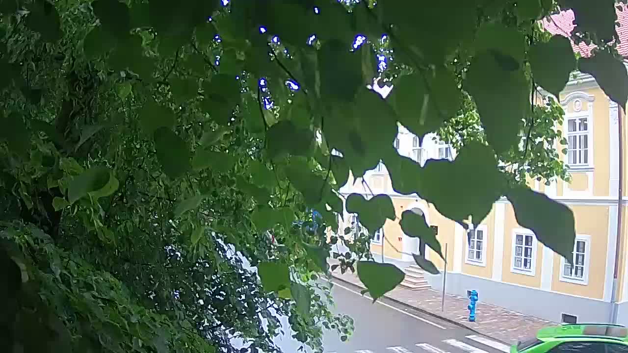 Live webcam parco Petrinja – dopo il terremoto