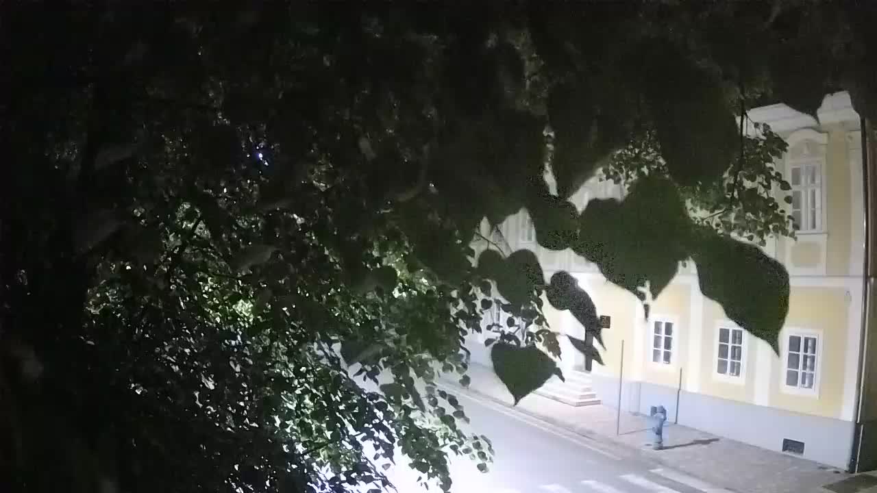 Webcam en direct du parc Petrinja – après le tremblement de terre
