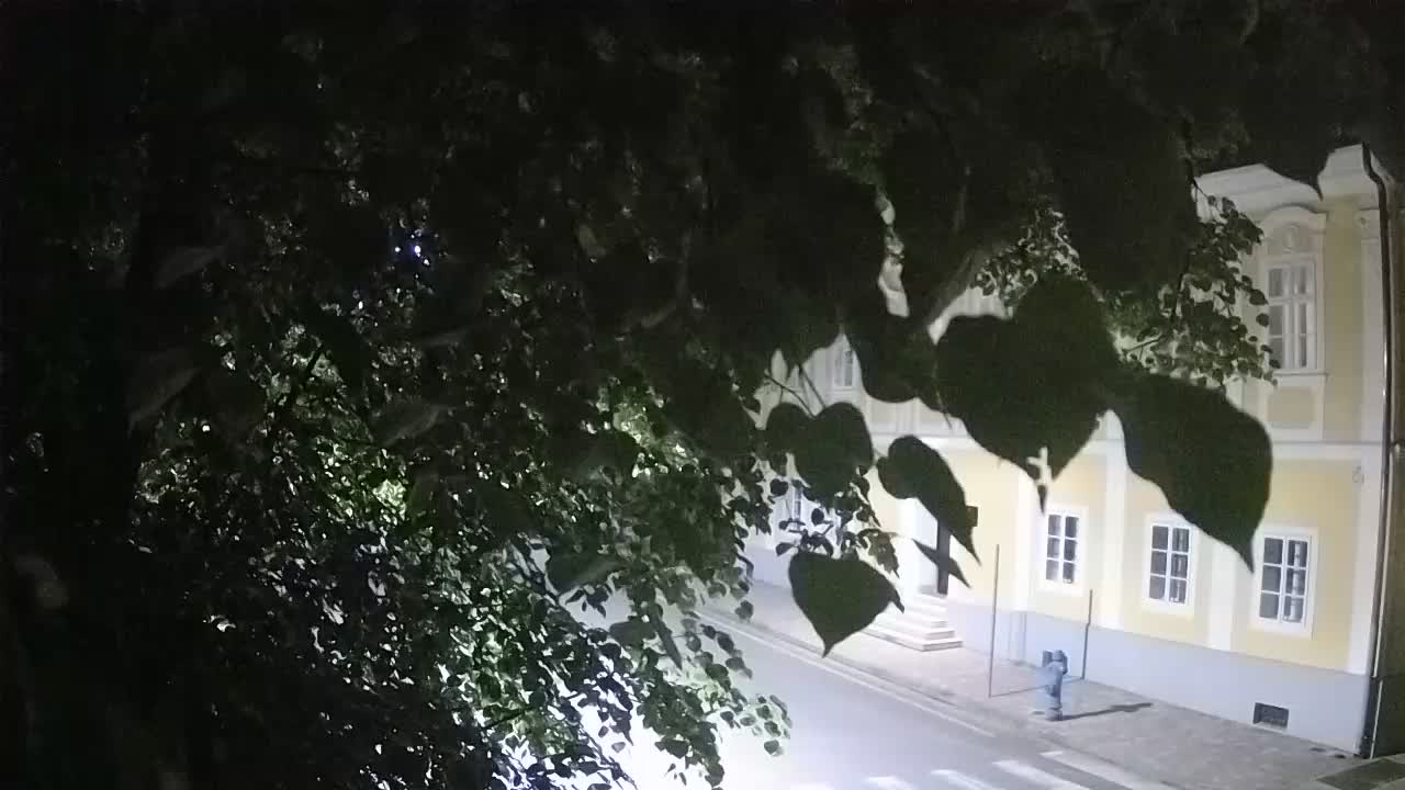 Spletna kamera v živo Petrinja centralni park – po potresu