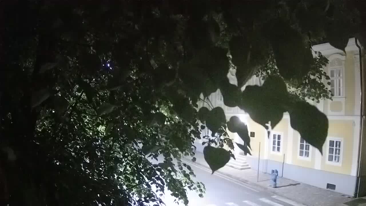 Webcam en vivo parque Petrinja – después del terremoto
