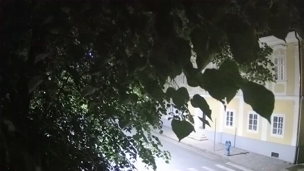 Live webcam parco Petrinja – dopo il terremoto