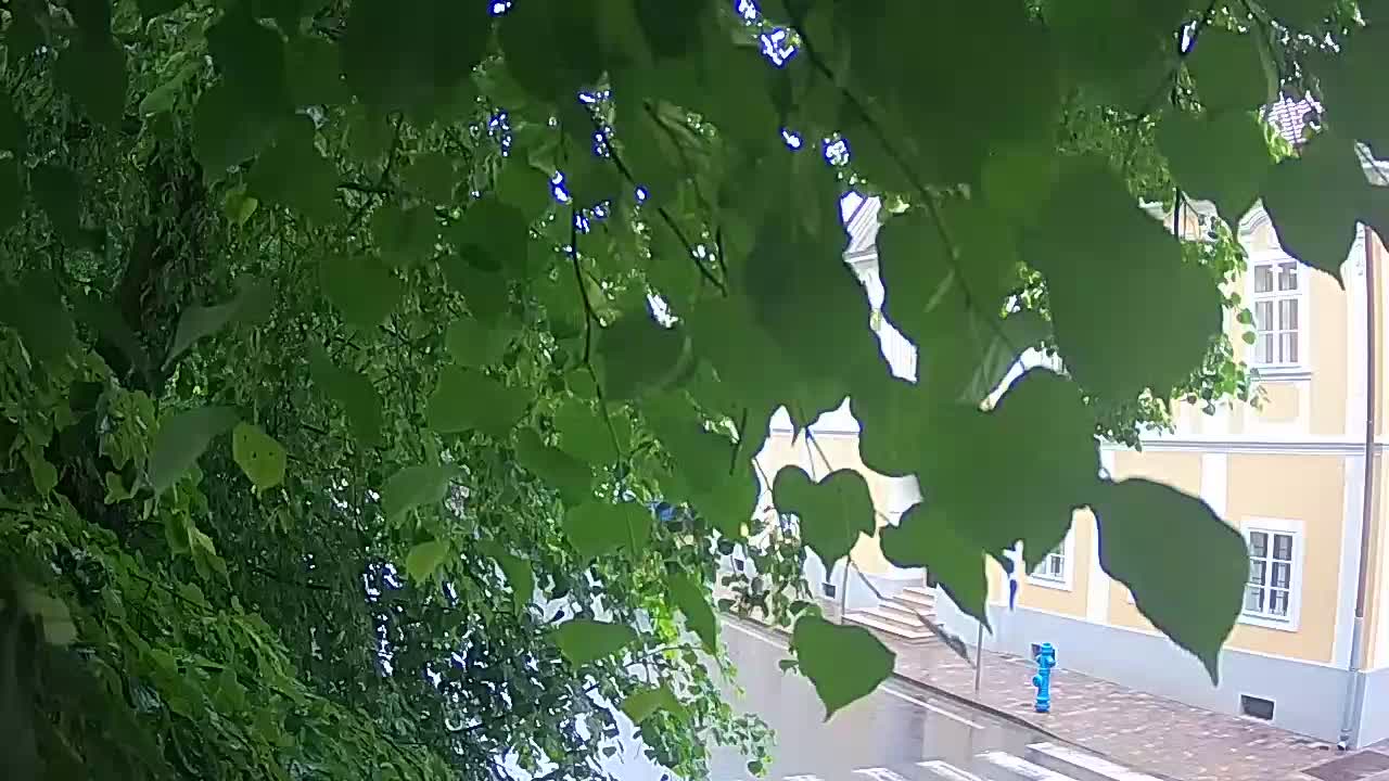 Spletna kamera v živo Petrinja centralni park – po potresu