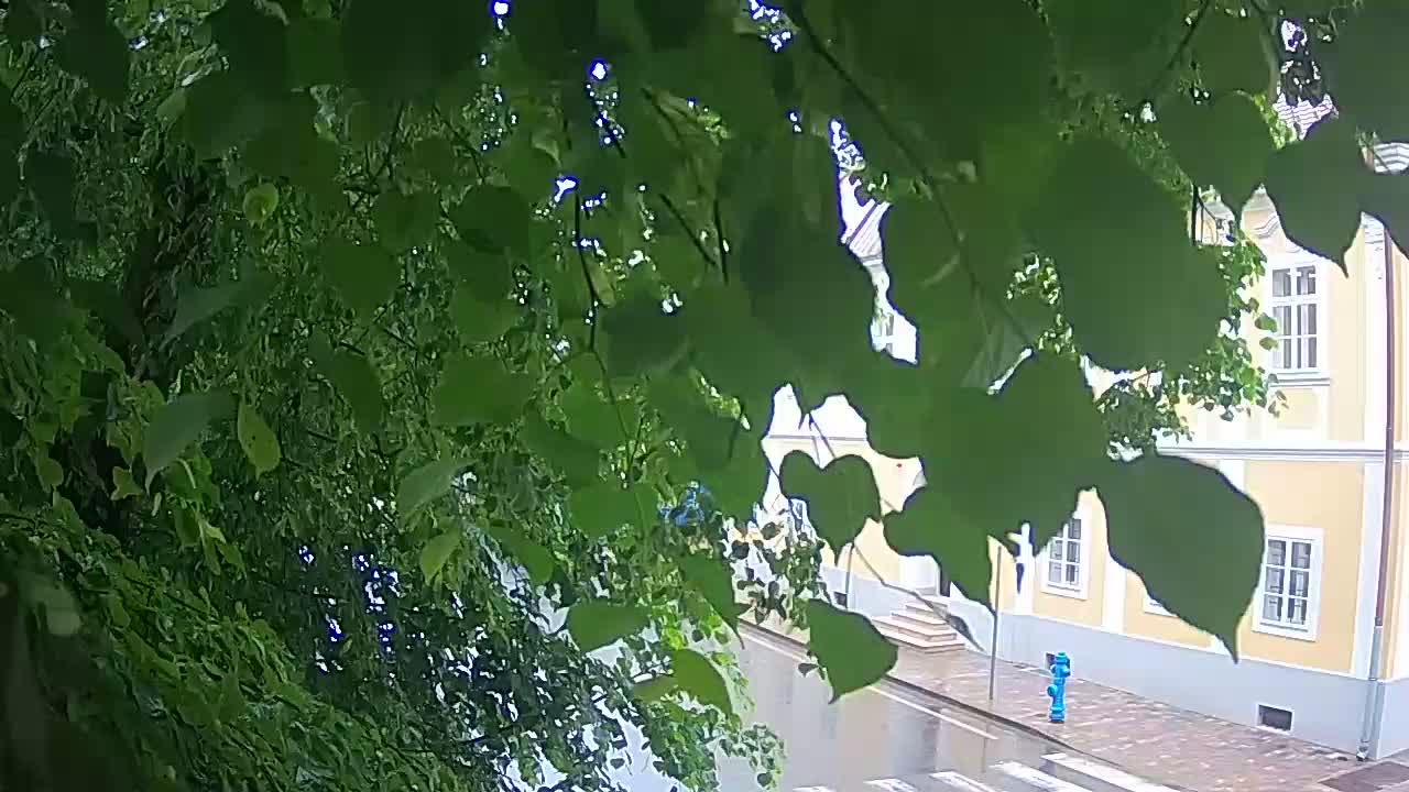 Webcam en direct du parc Petrinja – après le tremblement de terre