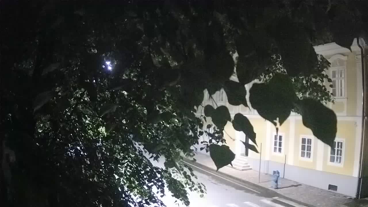 Spletna kamera v živo Petrinja centralni park – po potresu