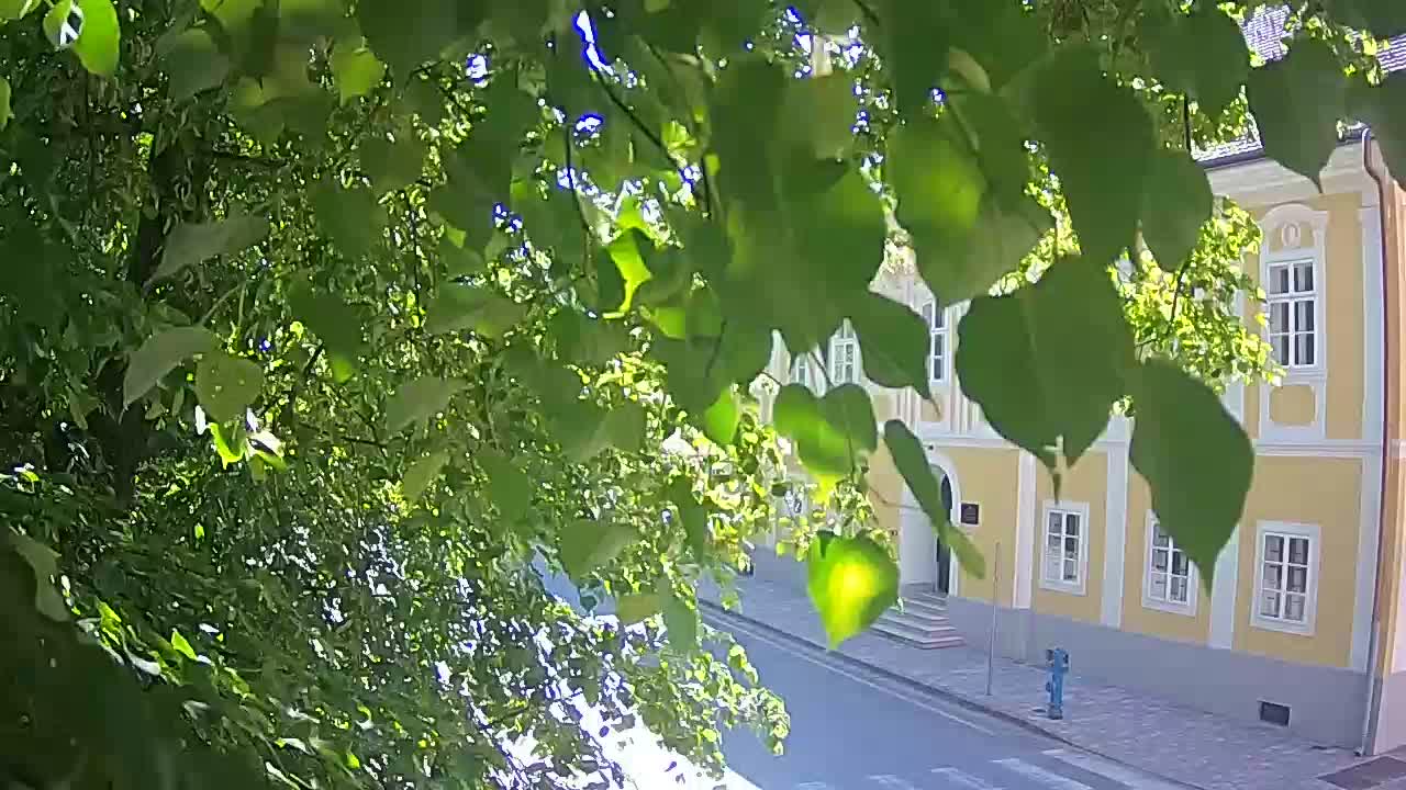 Web kamera uživo Petrinja centralni park – nakon potresa