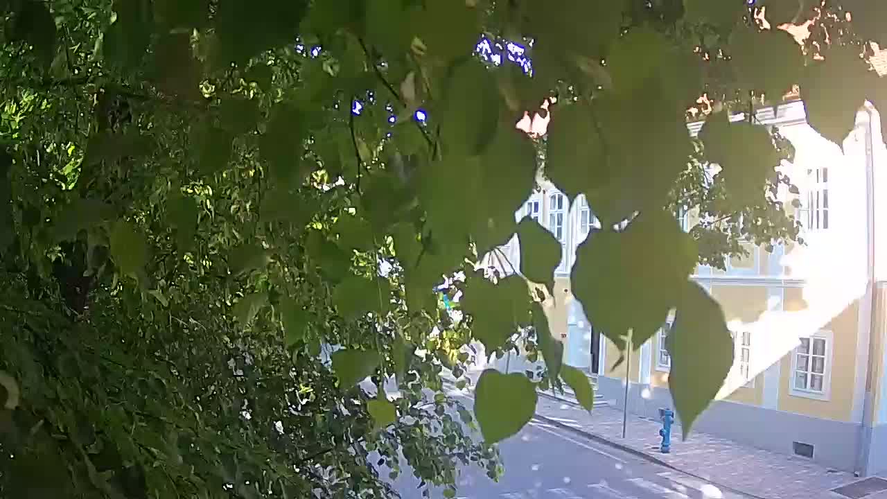Live webcam Petrinja central park – after the earthquake