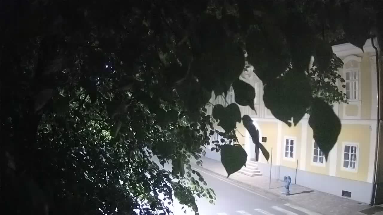 Live webcam parco Petrinja – dopo il terremoto