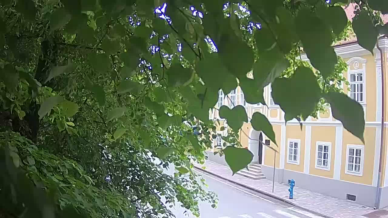 Live webcam Petrinja central park – after the earthquake