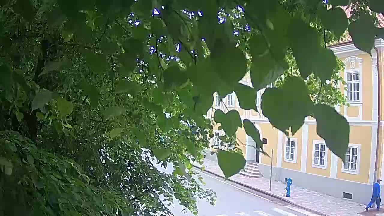 Webcam en vivo parque Petrinja – después del terremoto