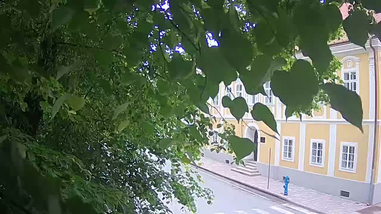 Live webcam parco Petrinja – dopo il terremoto