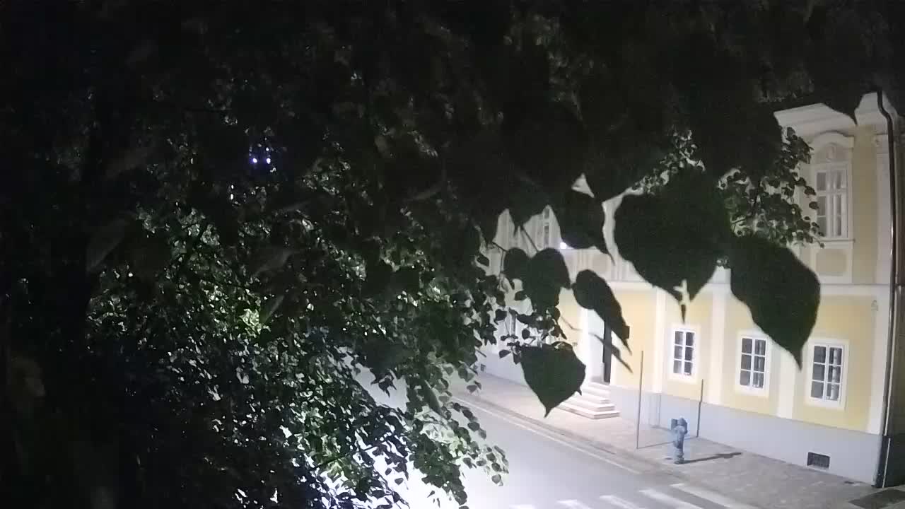 Live webcam Petrinja central park – after the earthquake