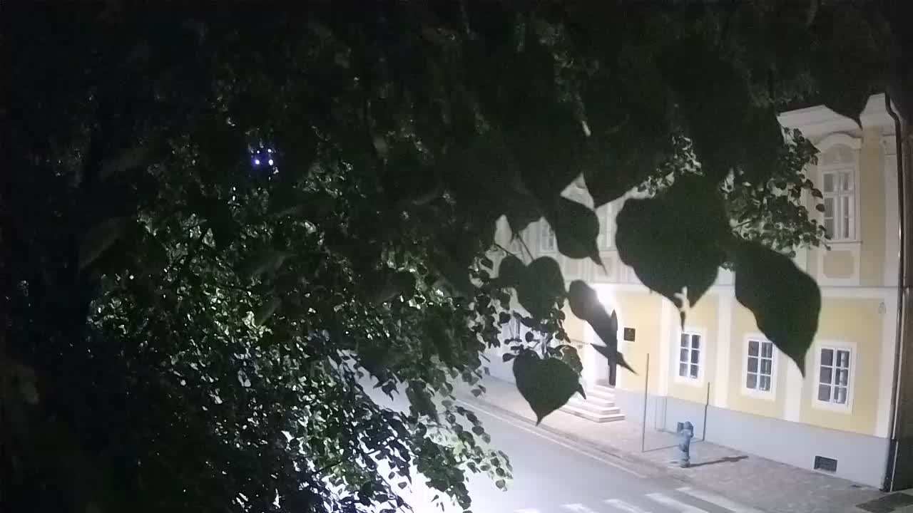 Live webcam parco Petrinja – dopo il terremoto