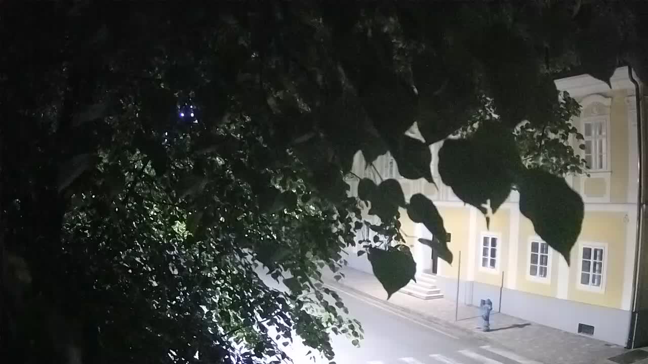 Live webcam parco Petrinja – dopo il terremoto
