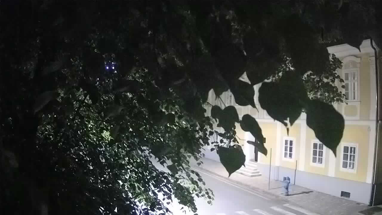 Spletna kamera v živo Petrinja centralni park – po potresu