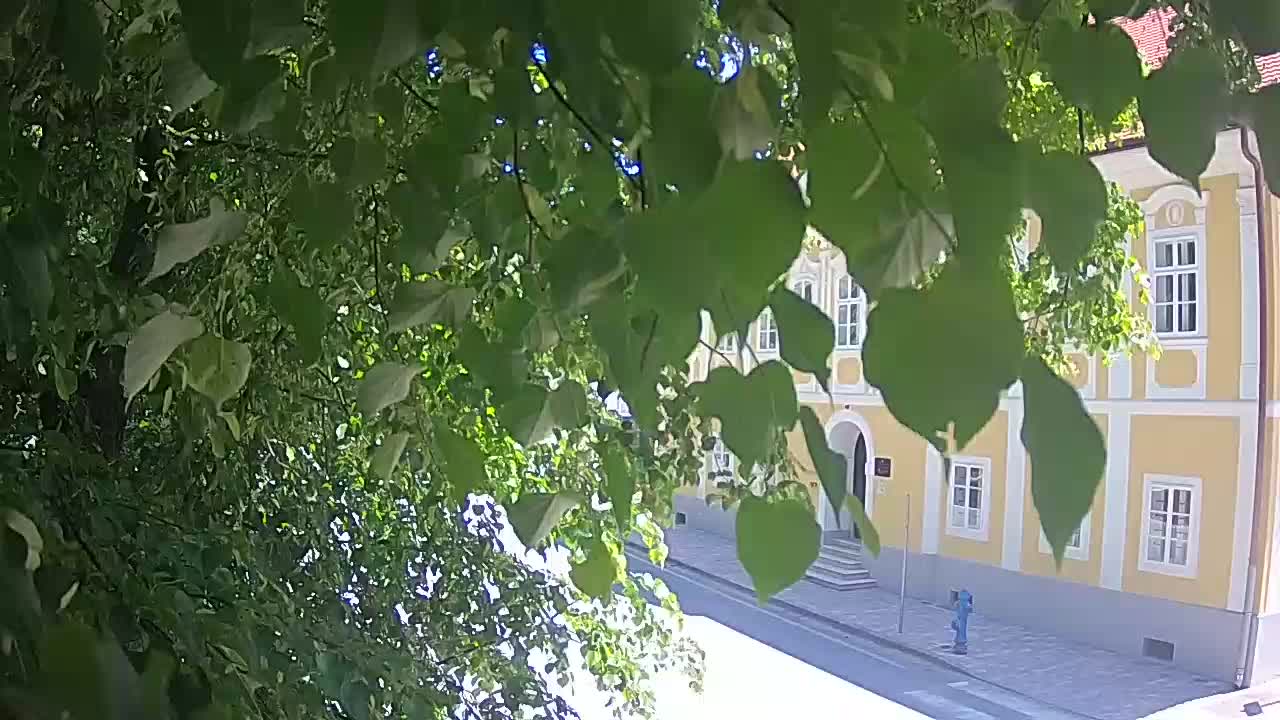 Live webcam Petrinja central park – after the earthquake
