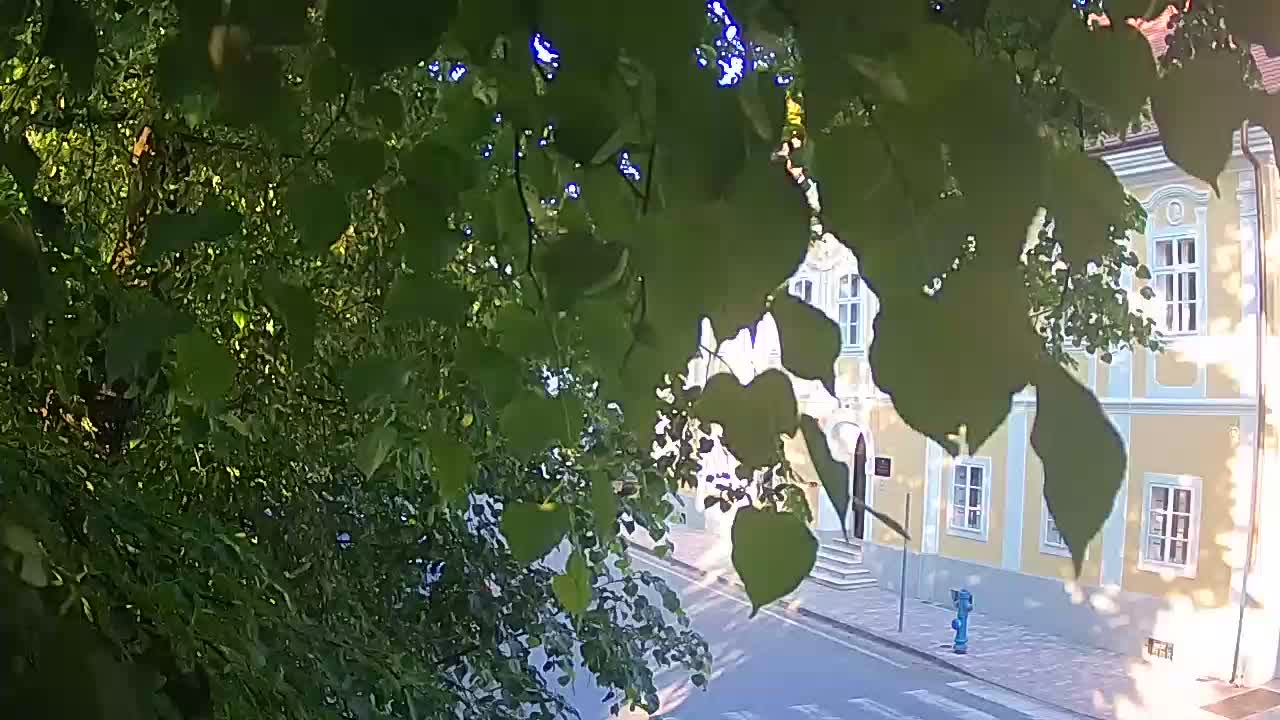 Webcam en direct du parc Petrinja – après le tremblement de terre