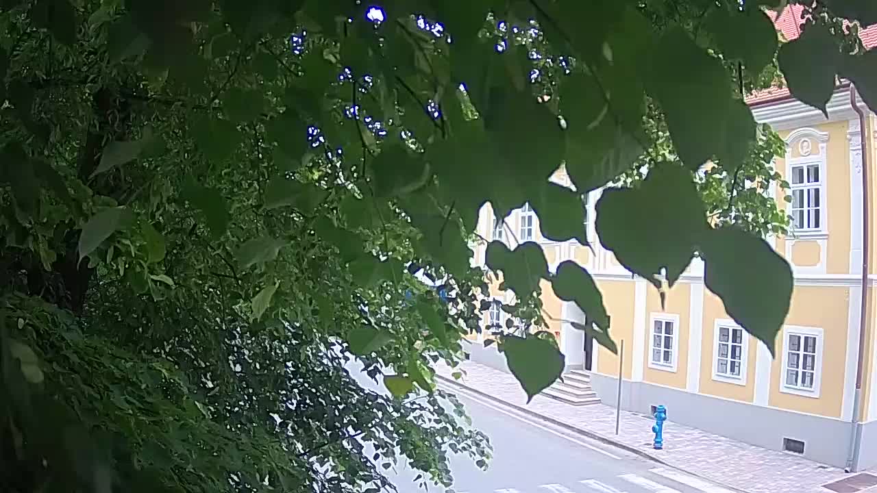 Webcam en direct du parc Petrinja – après le tremblement de terre