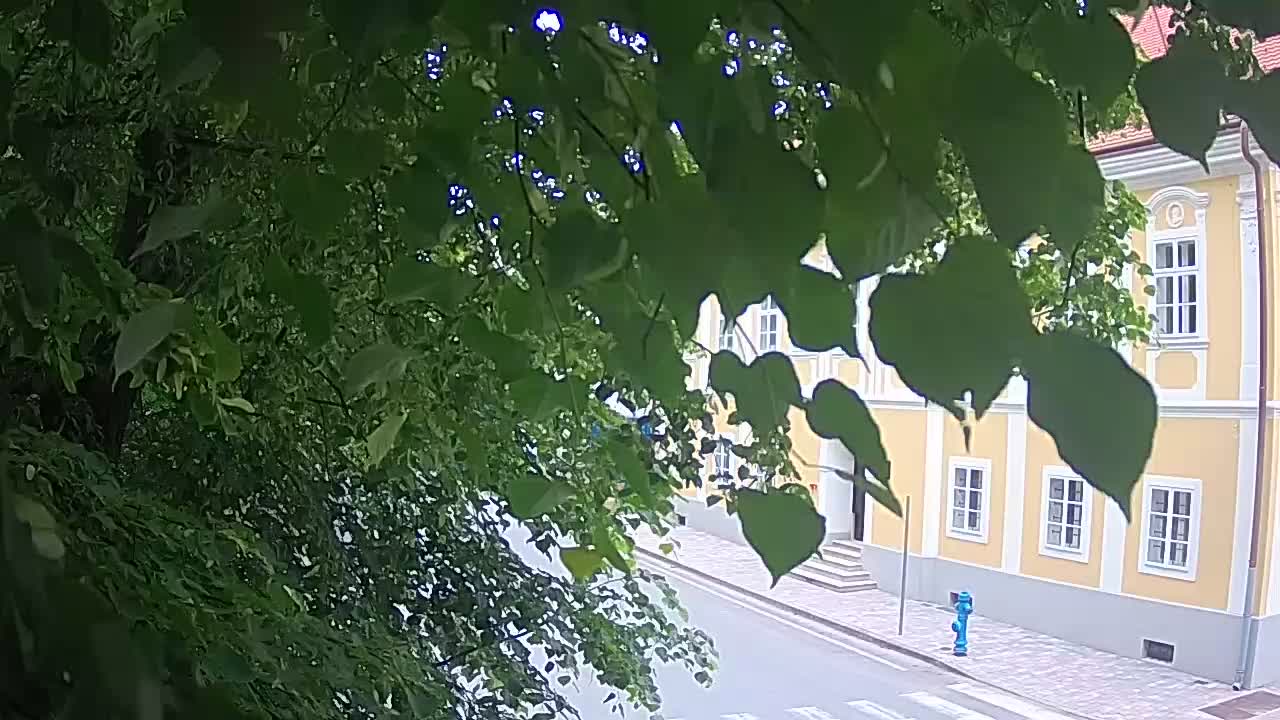 Live webcam Petrinja central park – after the earthquake