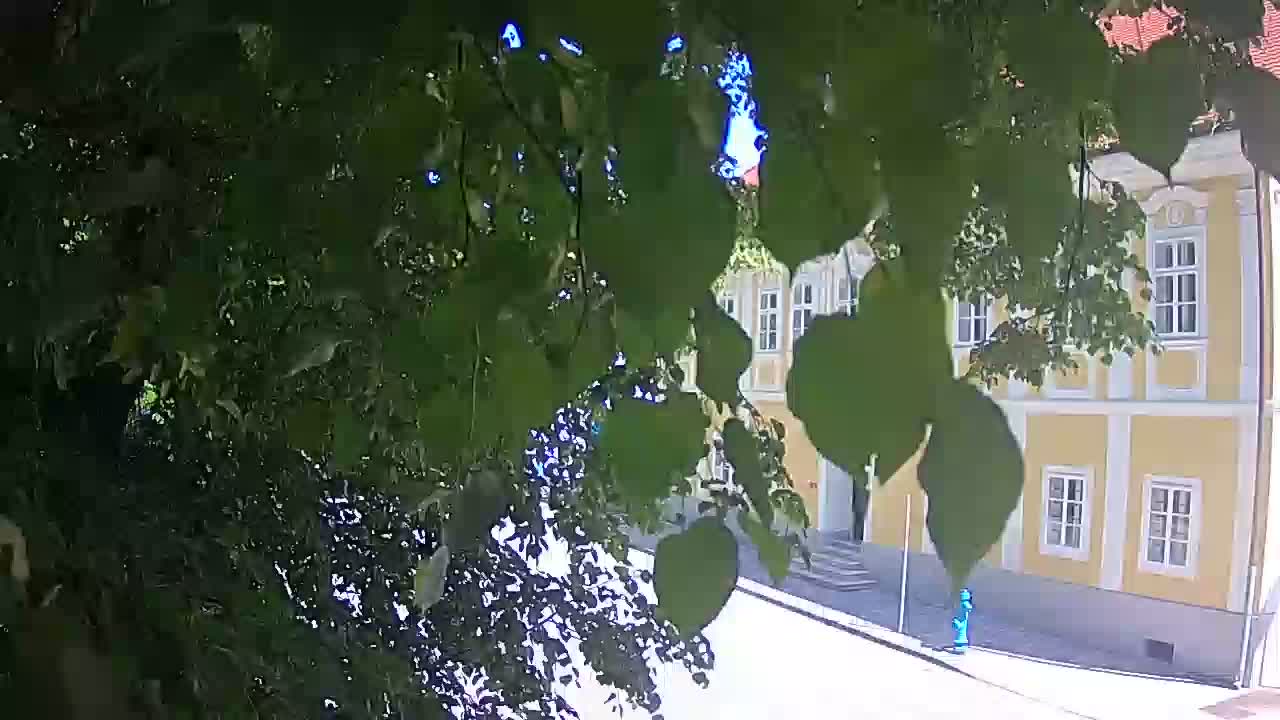 Spletna kamera v živo Petrinja centralni park – po potresu