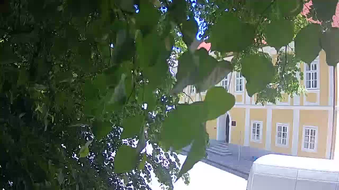 Spletna kamera v živo Petrinja centralni park – po potresu