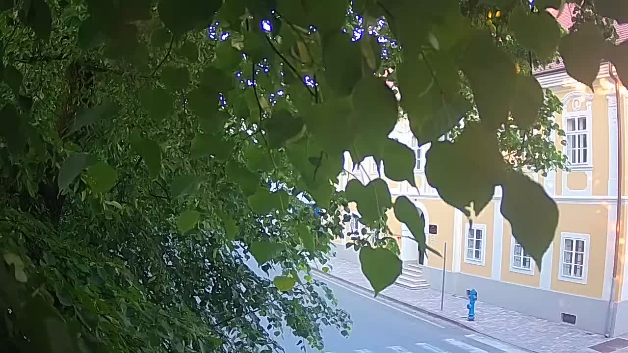 Webcam en vivo parque Petrinja – después del terremoto