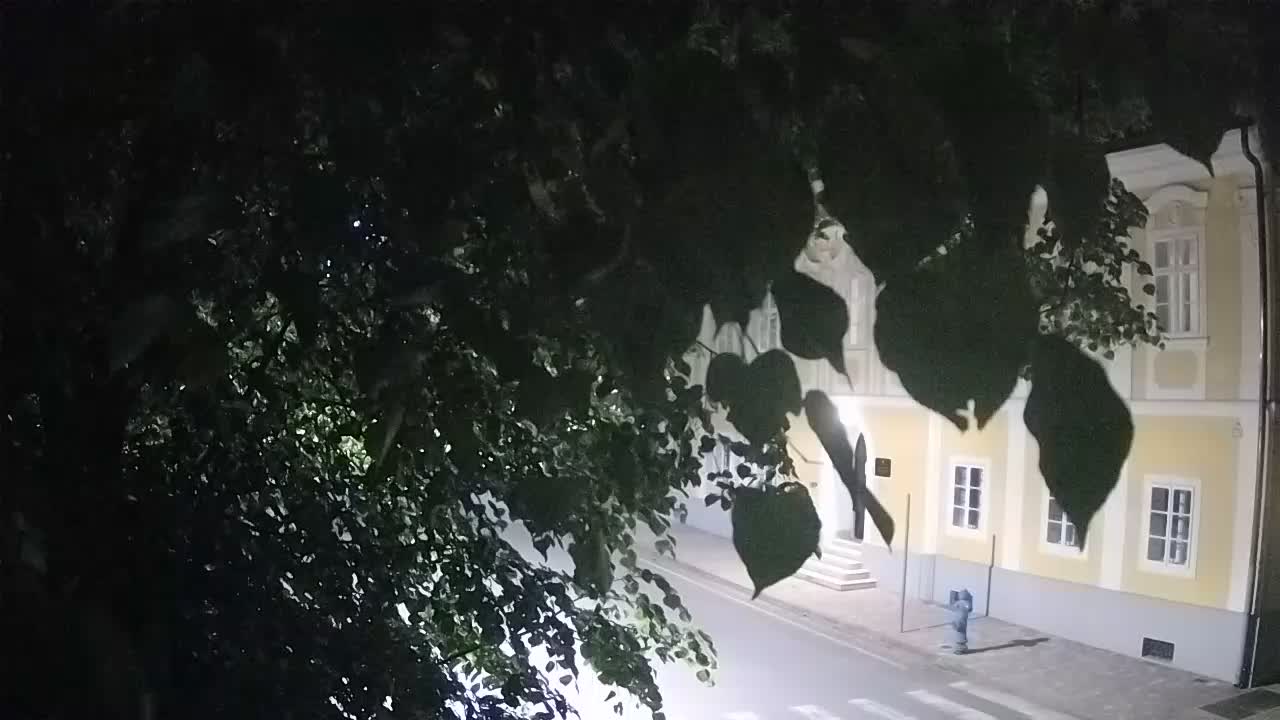 Spletna kamera v živo Petrinja centralni park – po potresu