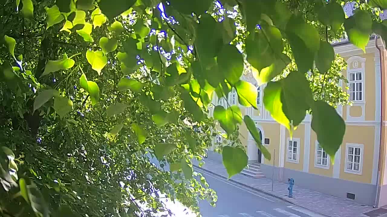 Web kamera uživo Petrinja centralni park – nakon potresa