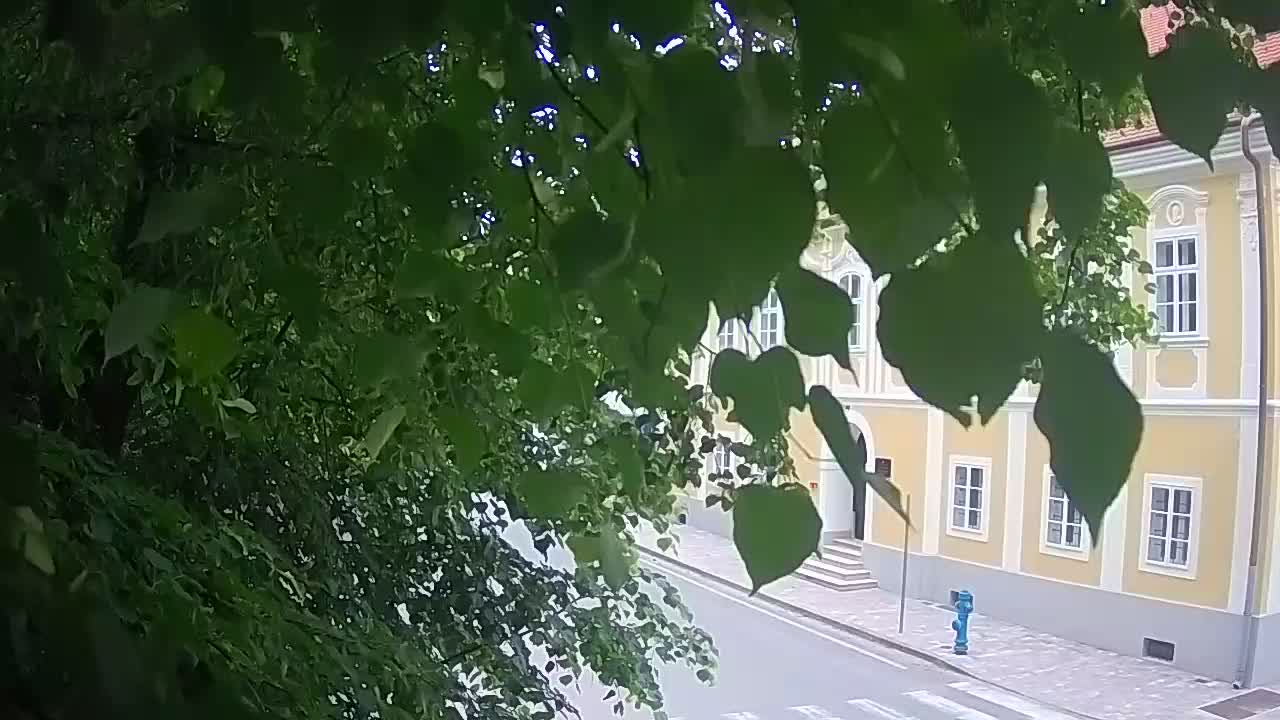 Spletna kamera v živo Petrinja centralni park – po potresu